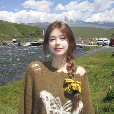 忍者与极道海报