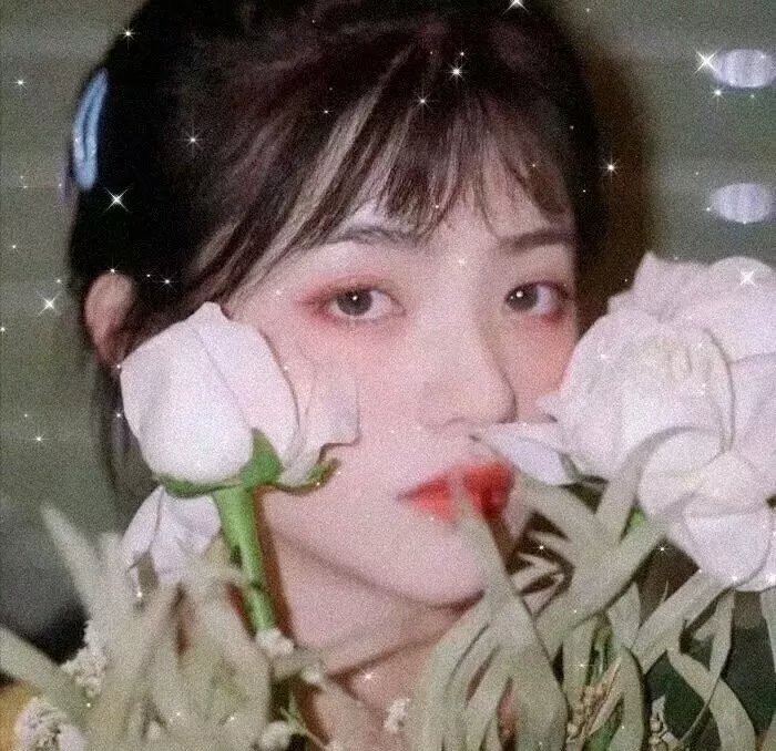 西环的故事海报